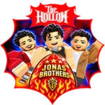 The Jonas Brother Concert