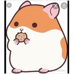 Golden Hamster