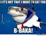 IT woudnt LET ME change this to baka