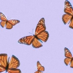 ~Leila’s Store~