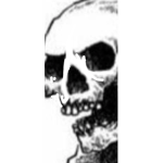 Facial animations