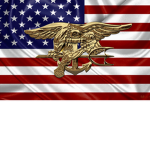 American Navy S.E.A.L.S