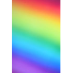 rainbow rainy club