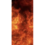 The FireClub group