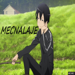 mecnalaje