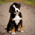 pixel puppys