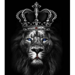 BlackLionzz