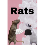 Ratatouille clothing store