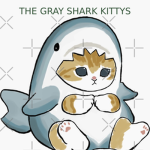 The gray shark kitty