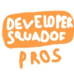 Developer Squad of Pros