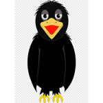 crowman0612