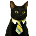 business cats rule!