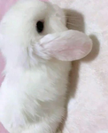 pewpiu