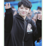 Woozi fans