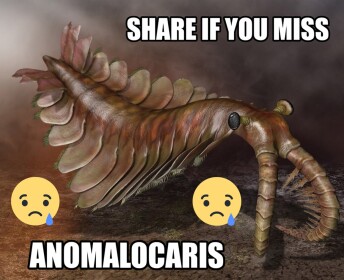 Anomalocaris Avatar