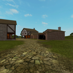 Village realism test. icon