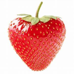 El Strawberry Family