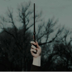 the wizards <3