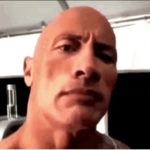 Testgajag