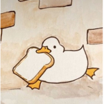 ROBUX IS NOAH