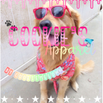 - Cookie’s Apparel -