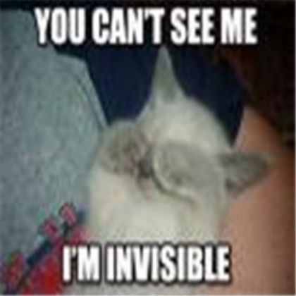 Invisible Kitty Roblox decal