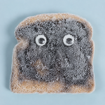 Frozen Toast Labs!