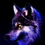 BlackWolfNation