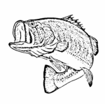 Seabass Studios™