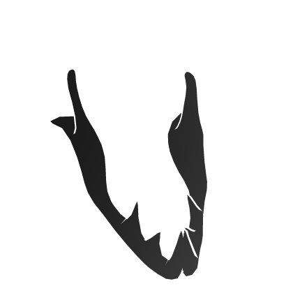 Black Blaster Jaw