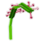 Sundew produce