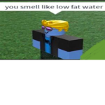 You smell like low fat water