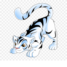 Tigers Club