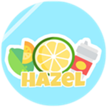 Hazel Security