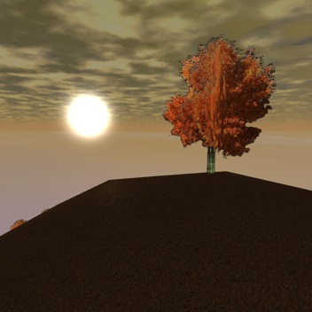Autumn Forest