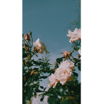 Vintage bee