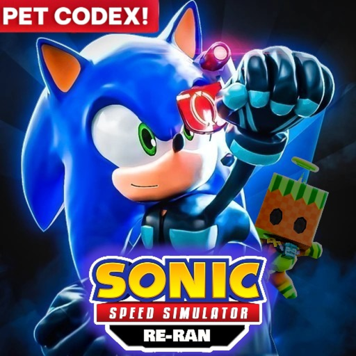 Sonic Speed Simulator RE-RAN