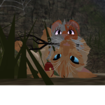 Warrior Cats Ultimate Training