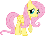 RosesHehe