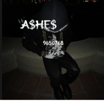 a$he$