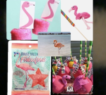 Ella's Crazy Flamingo Group