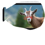 Who Doesn't like Goats?_?