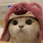 小糯米群組