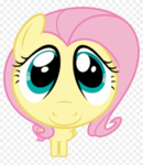 flutterfe