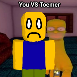 You VS Toemer