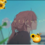 --- s u n f l o w e r ---