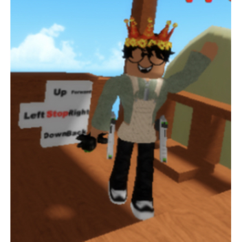 Hot Air Balloon Riding