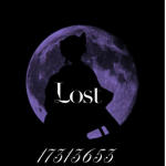 ¤&The Lost&¤