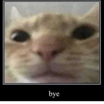 I777Z