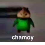 CHAMOY CORPORATION XD